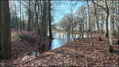 Foto van (mogelijk) de zwanenvijver van Schuilenburg bij hoog water.